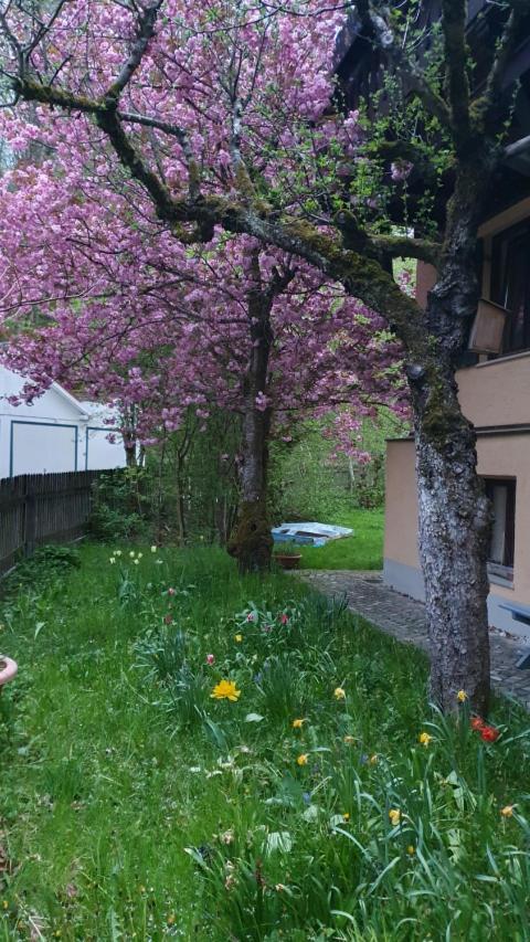 Central Starnberg And Surrounded By Nature Экстерьер фото